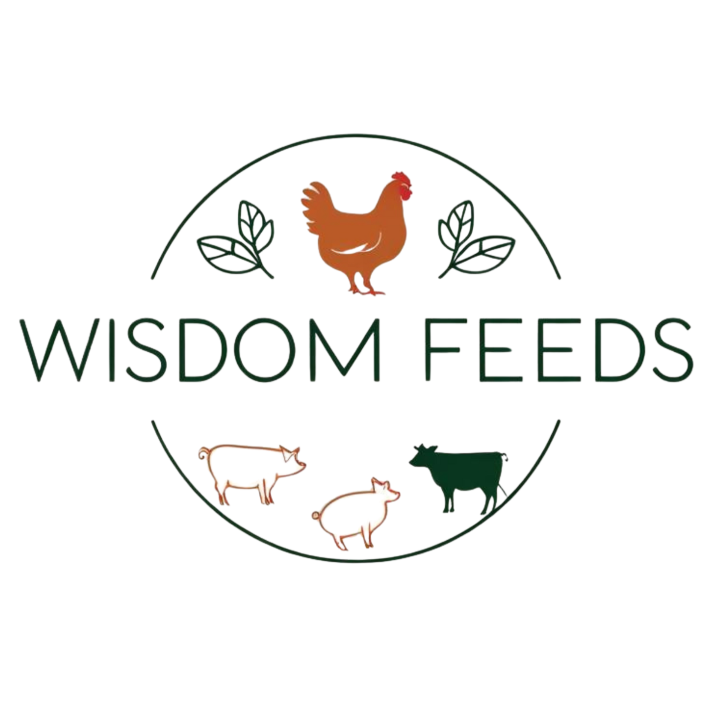 Wisdom Feeds